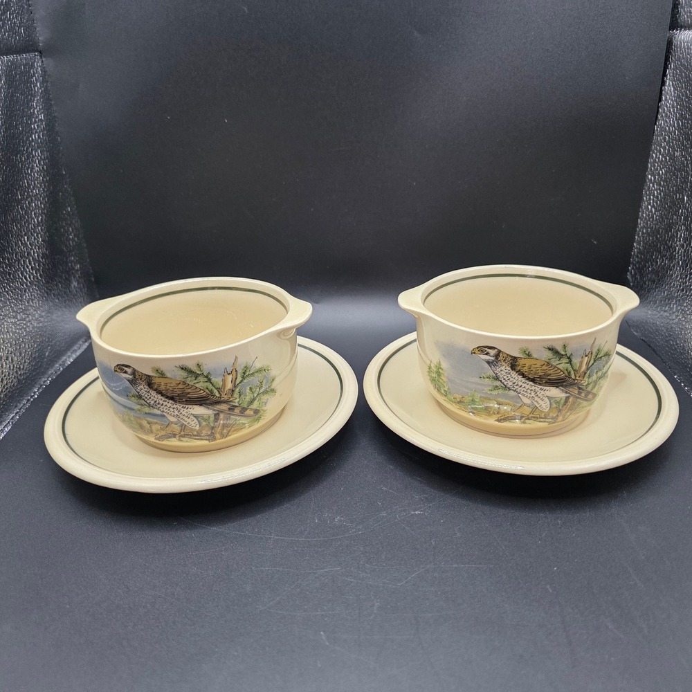 Vintage CP Colditz GDR East Germany Bird Hawk Soup Bowls and Saucers Set of 2 - Picture 3 of 16